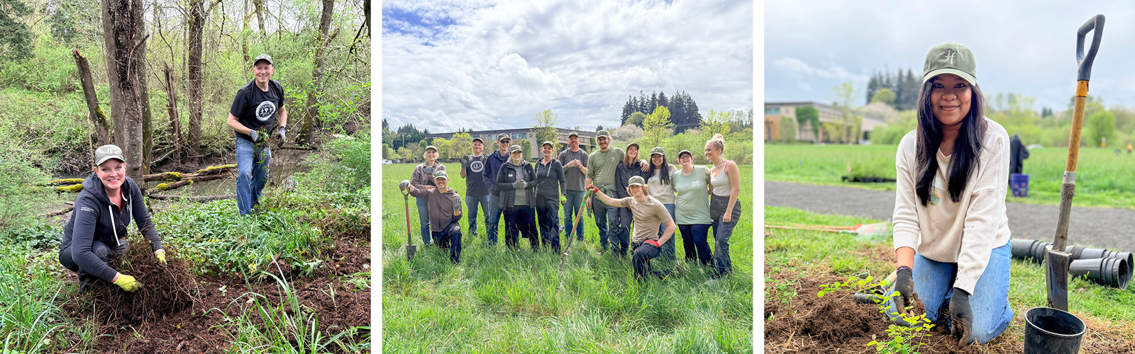 H&F volunteers planting trees