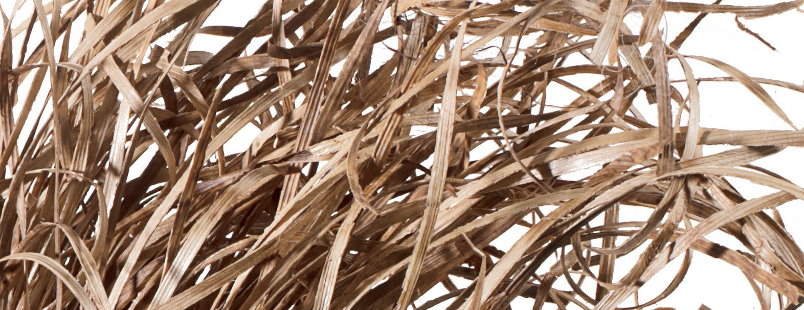 bamboo husks