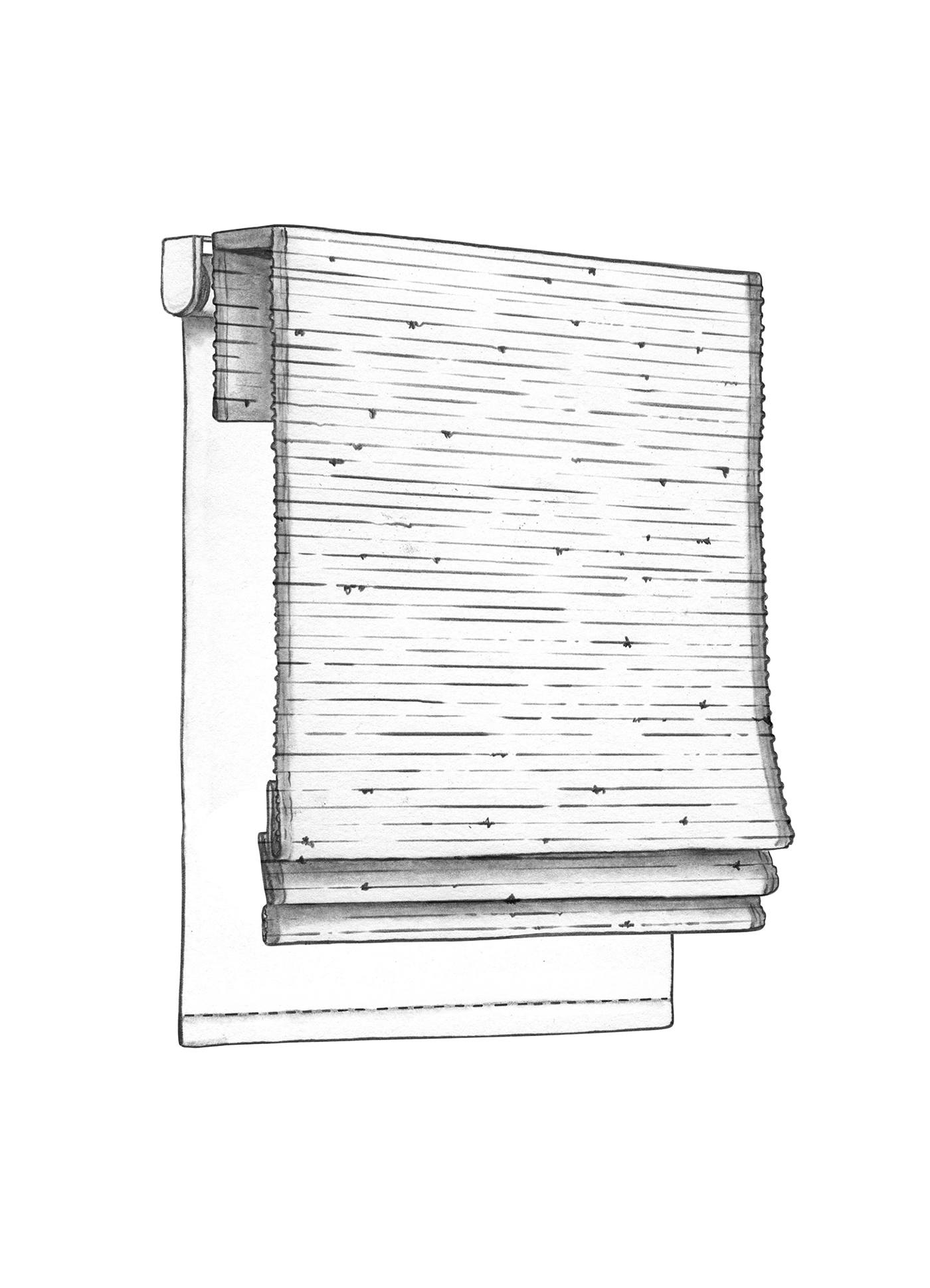 Dual – Roman | Roller