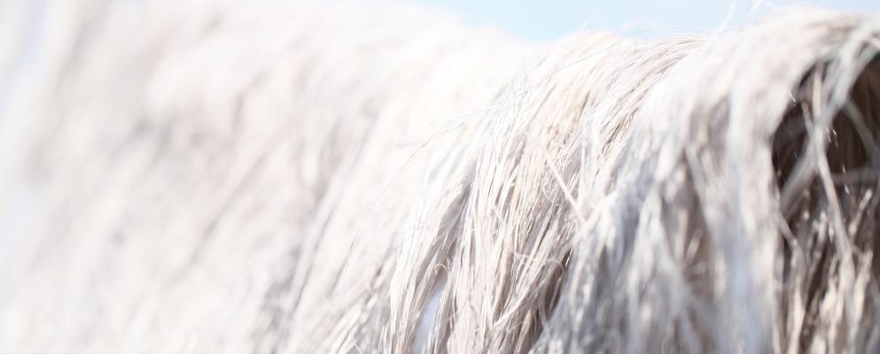 2016-09-13-fiber-header.jpg