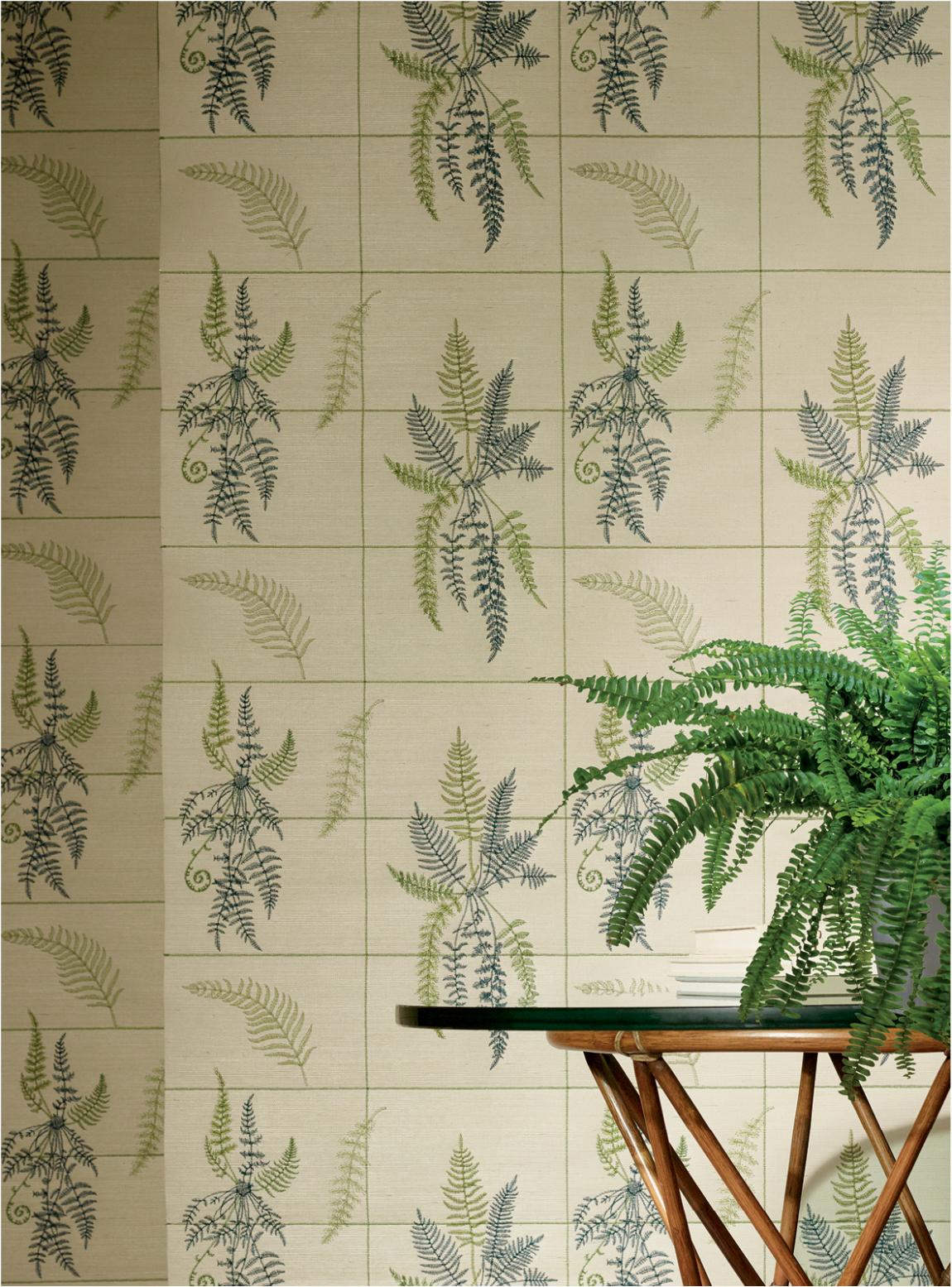 WLMS77-30 Madeleine Linden WLMS77-30 Madeleine Linden