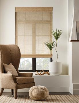 LE7109 Birdsong - Wren