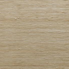 NO99-09 Basin - Kofu Basin Swatch