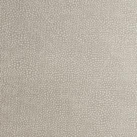 swatch-wlbb63-36-transcendence-silver-sage-8x8-web.jpg