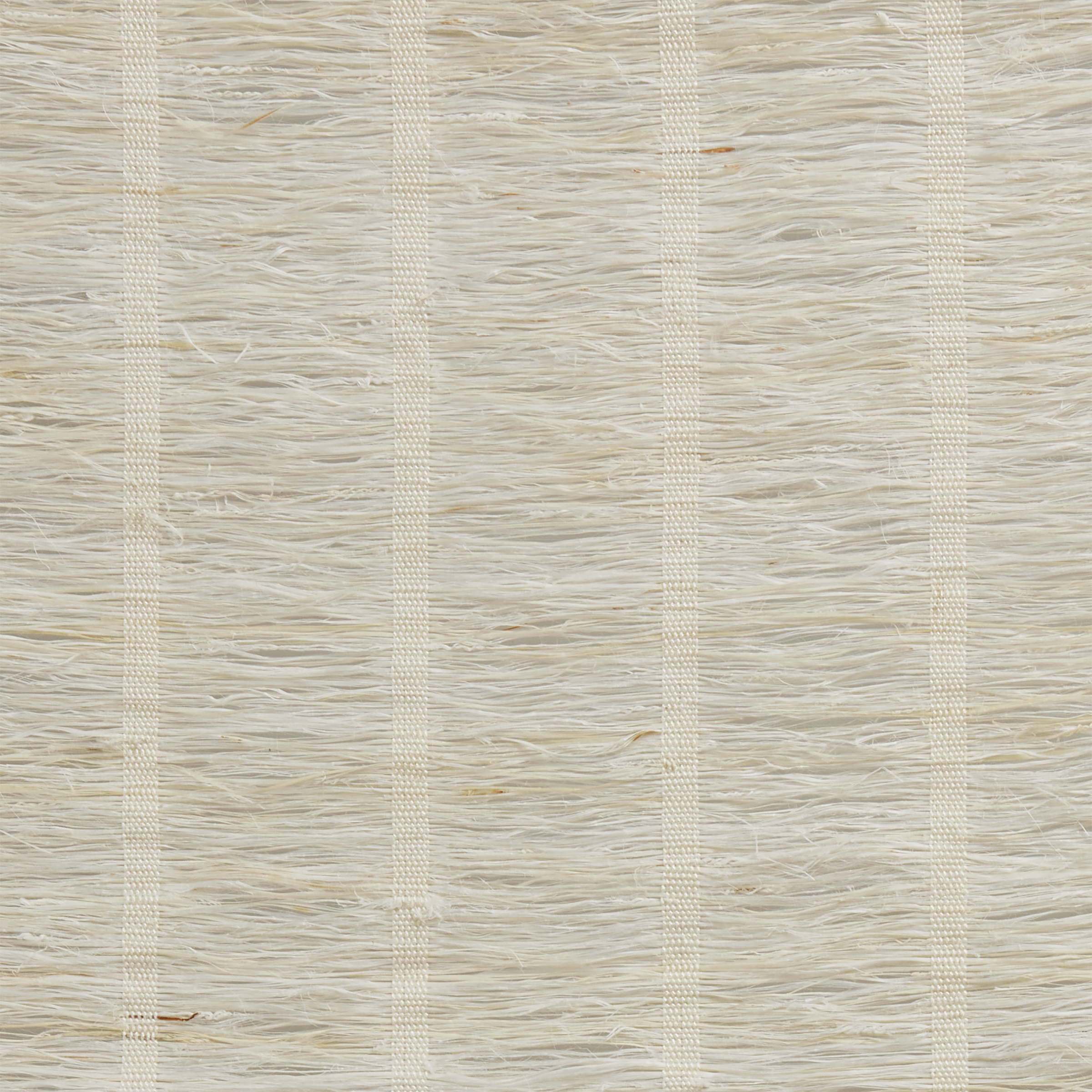 LE6203 Genesis Cottonseed