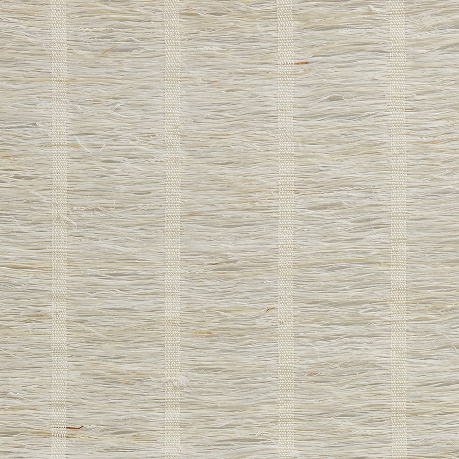 LE6203 Genesis - Cottonseed