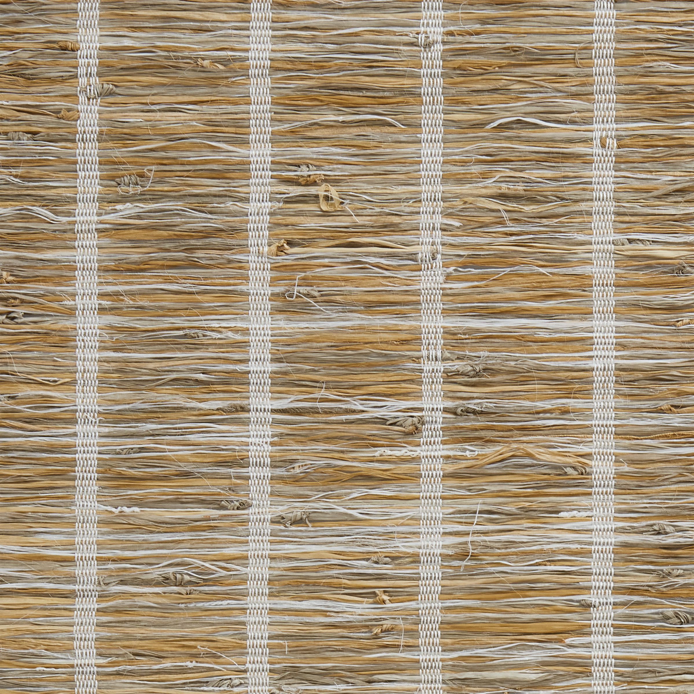LE6209 Genesis Flaxseed