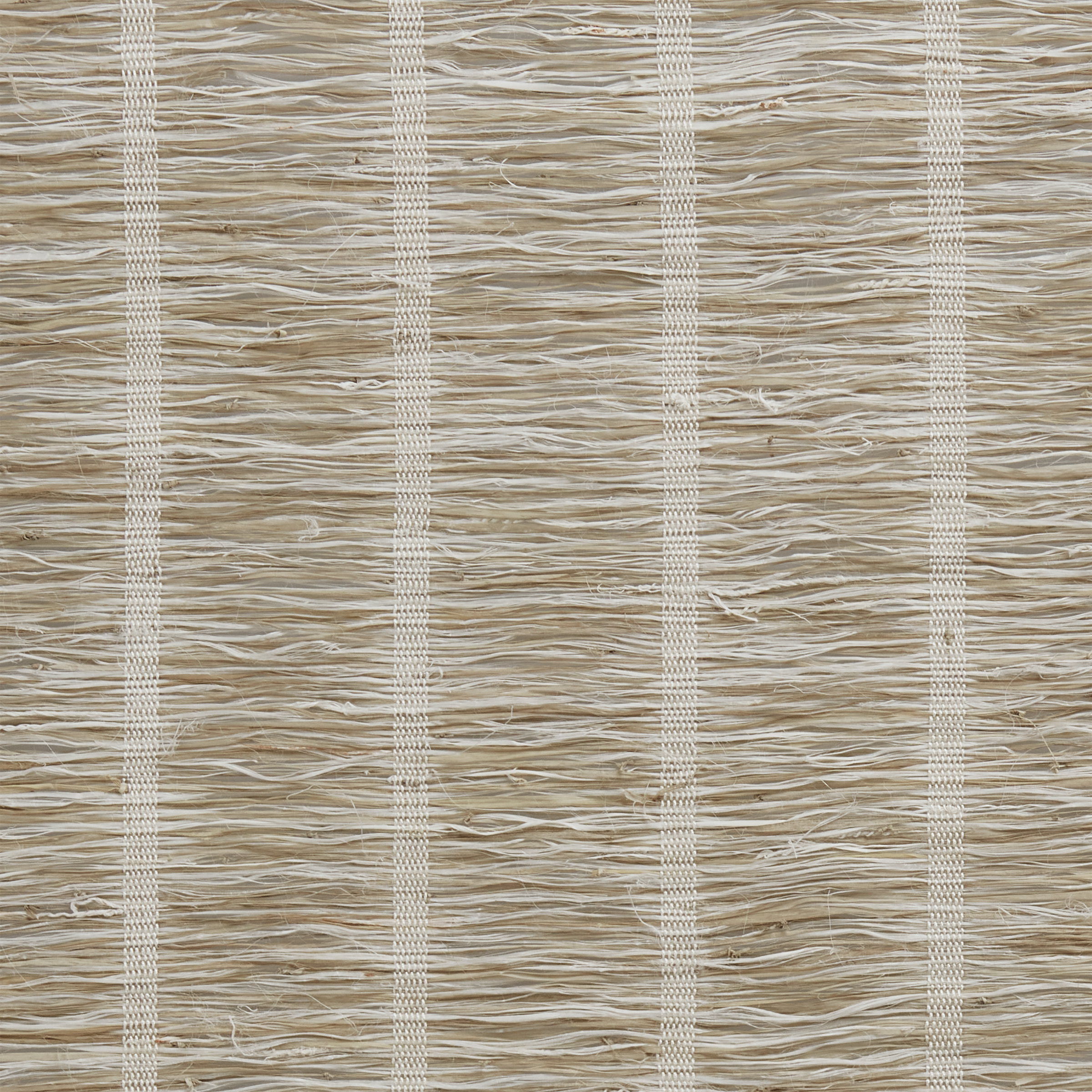 LE6215 Genesis Grainseed