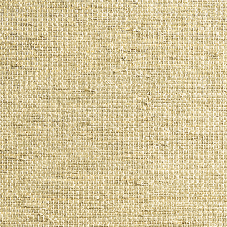 PE610-06 Reverie Introspective Ivory