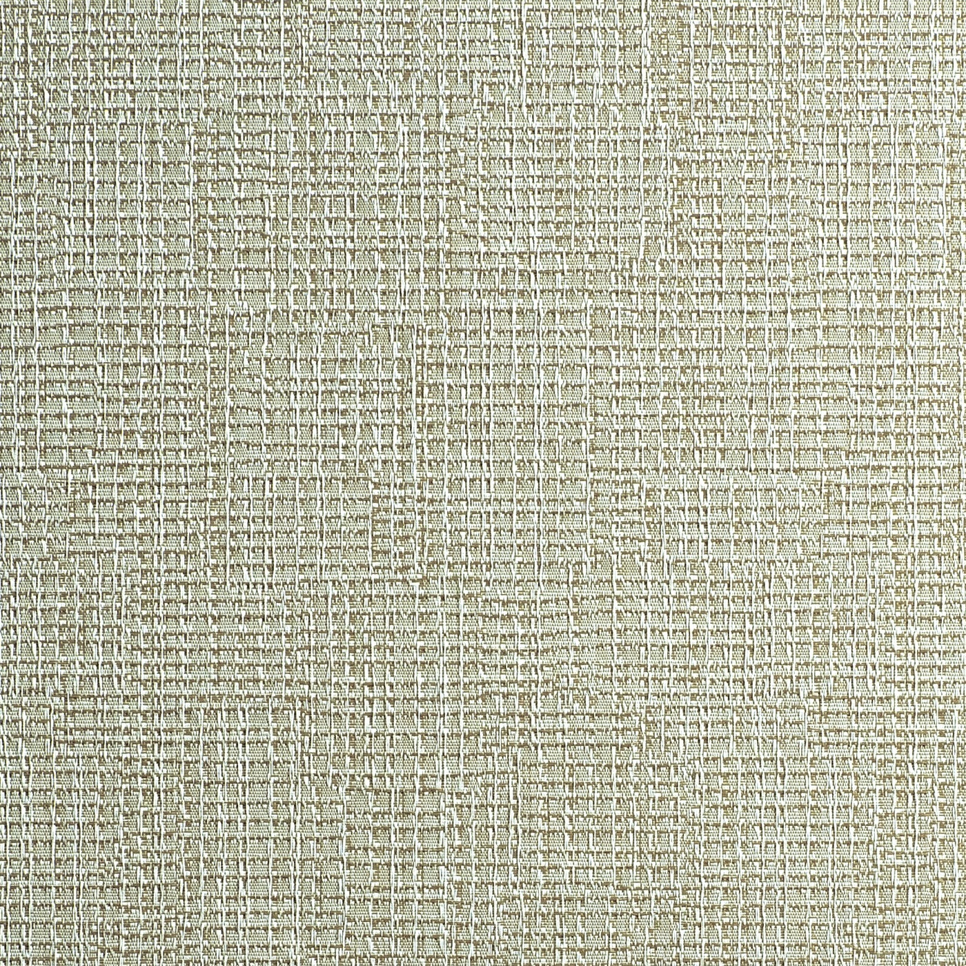 EC105-39 ECO 105 Taro